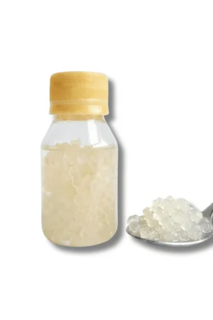 Nódulos de kéfir de agua transparentes en agua azucarada lista para fermentar