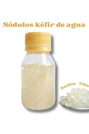 Nodulos-de-Kefir-de-Agua-Vivos-–-Probiotico-Vegano-Sin-Lactosa-scaled.webp
