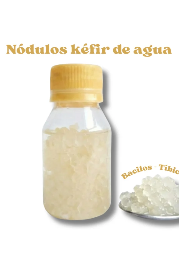 Nodulos-de-Kefir-de-Agua-Vivos-–-Probiotico-Vegano-Sin-Lactosa-scaled Nodulos-de-Kefir-de-Agua-Vivos-–-Probiotico-Vegano-Sin-Lactosa-scaled.webp