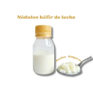 Nódulos de Kéfir de Leche (Búlgaros)