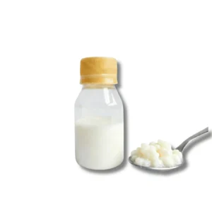 Nódulos de Kéfir de Leche (Búlgaros)