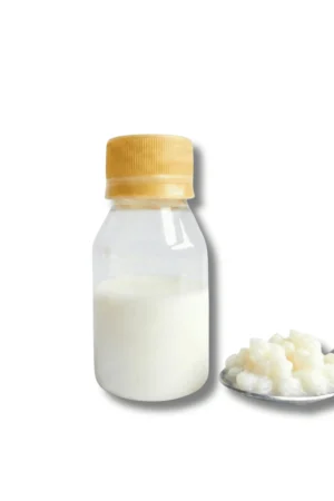 Nódulos de Kéfir de Leche Vivos – Cultivo Probiótico