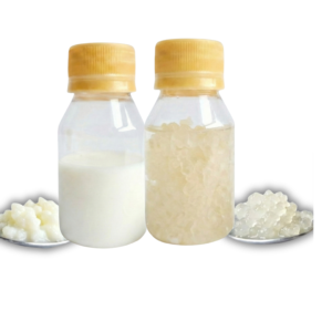 Pack combinado de nódulos de kéfir de leche y kéfir de agua en presentación artesanal