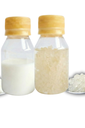 Pack combinado de nódulos de kéfir de leche y kéfir de agua en presentación artesanal