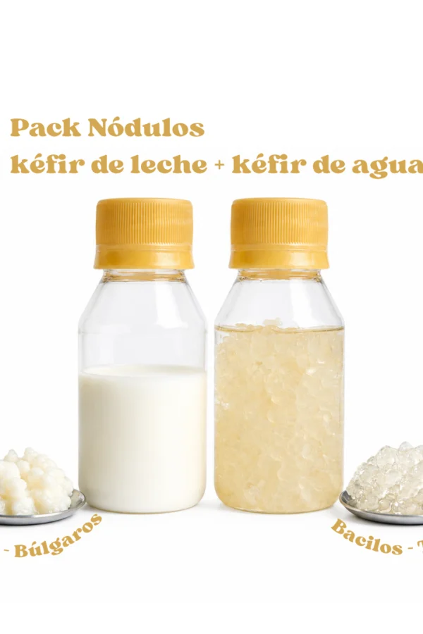 Pack-Nodulos-de-Kefir-de-Leche-y-Agua-–-Doble-Probiotico-Vivo-scaled.png