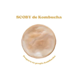 SCOBY de Kombucha