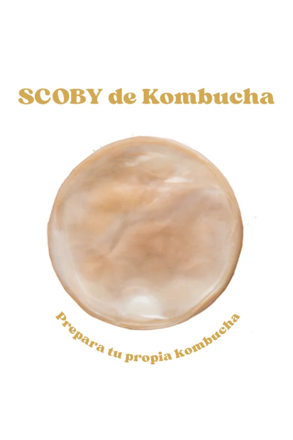 SCOBY-de-kombucha SCOBY-de-kombucha