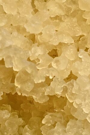 WhatsApp Image 2022-10-02 at 11.26.45 AM