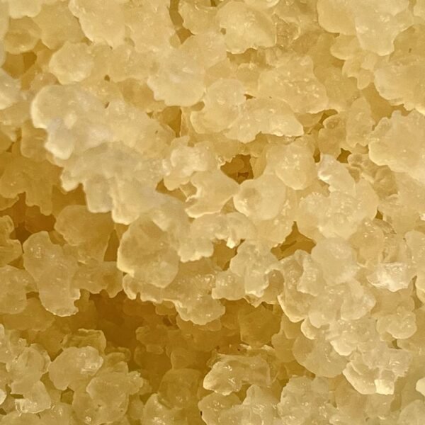 WhatsApp Image 2022-10-02 at 11.26.45 AM