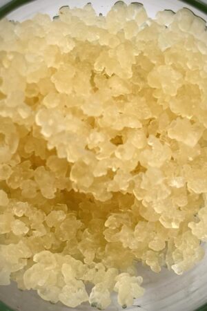 WhatsApp Image 2022-10-02 at 11.28.21 AM