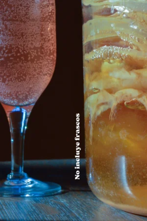 kombucha kombucha