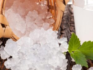 Bacilos y otros cultivos