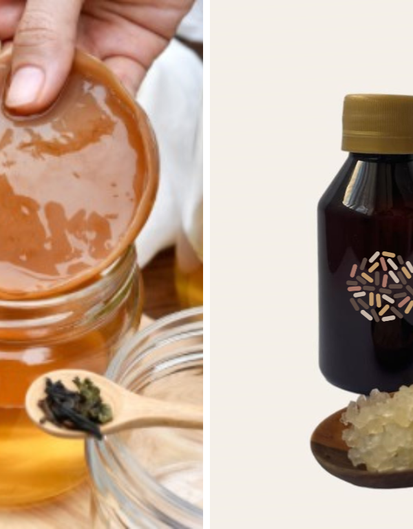 Kombucha y Agua