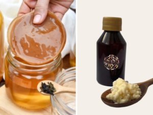 Nódulos Kéfir de leche y scoby de kombucha