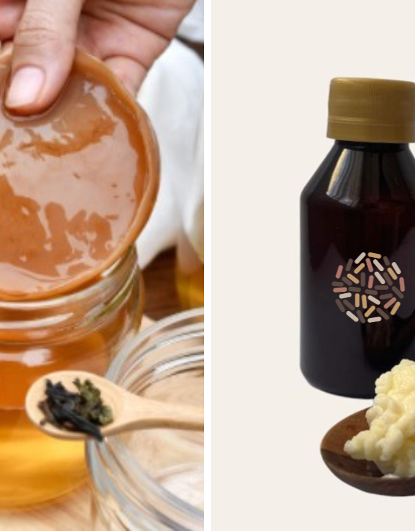 Kombucha y leche