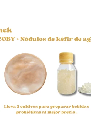 Pack-SCOBY-de-kombucha-kéfir-de-agua