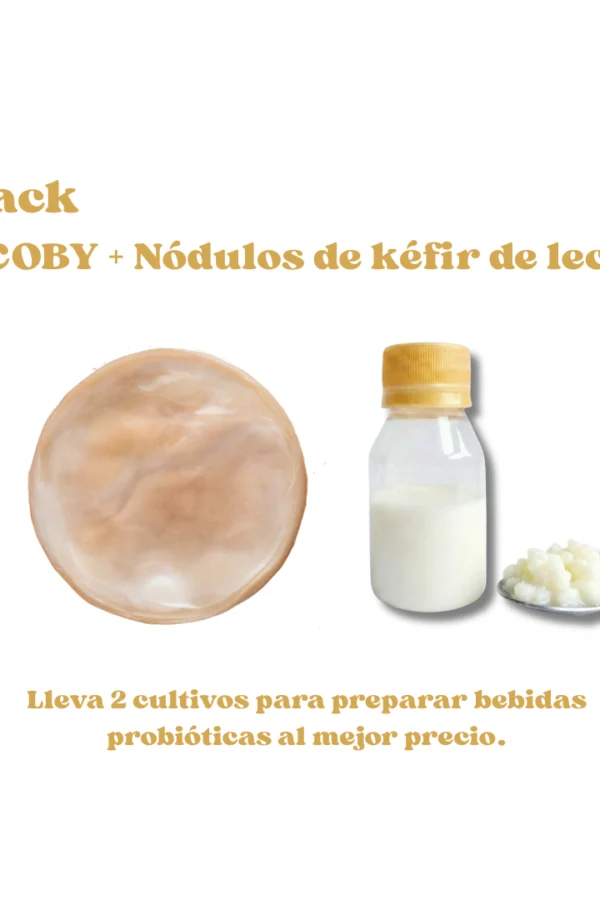 Pack-SCOBY-de-kombucha-kéfir-de-leche