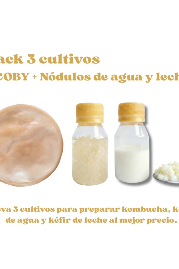 Pack-tres-cultivos- scoby de kombucha - tibicos - bacilos - bulgaros- kéfir de agua - kéfir de leche - nódulos