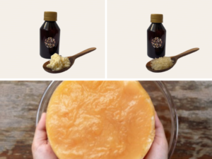 Nódulos Kefir de agua, kéfir de leche y Scoby de kombucha