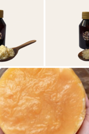 kombucha, agua y leche (1)