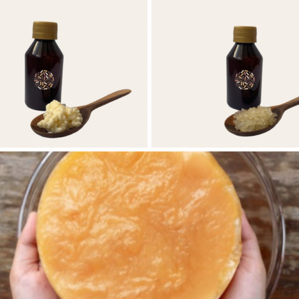 kombucha, agua y leche (1)