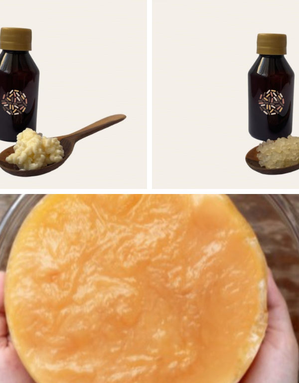kombucha, agua y leche (1)