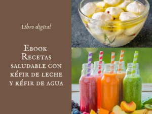 Ebook recetas saludables kéfir de leche y kéfir de agua