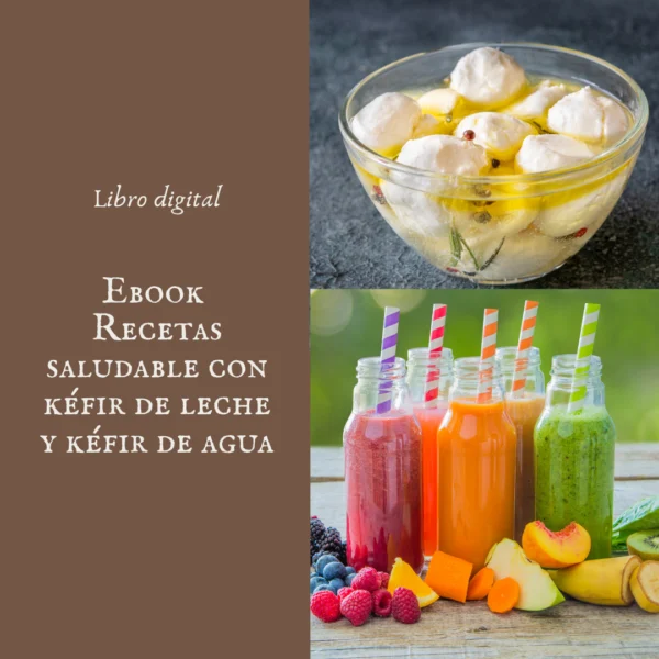Ebook recetas saludables kéfir de leche y kéfir de agua