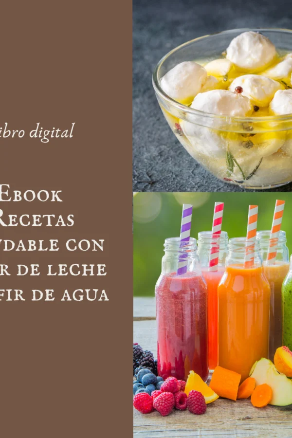 Ebook recetas saludables kéfir de leche y kéfir de agua
