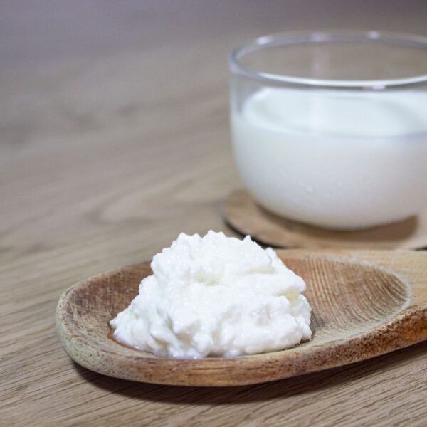 kefir de leche medellín