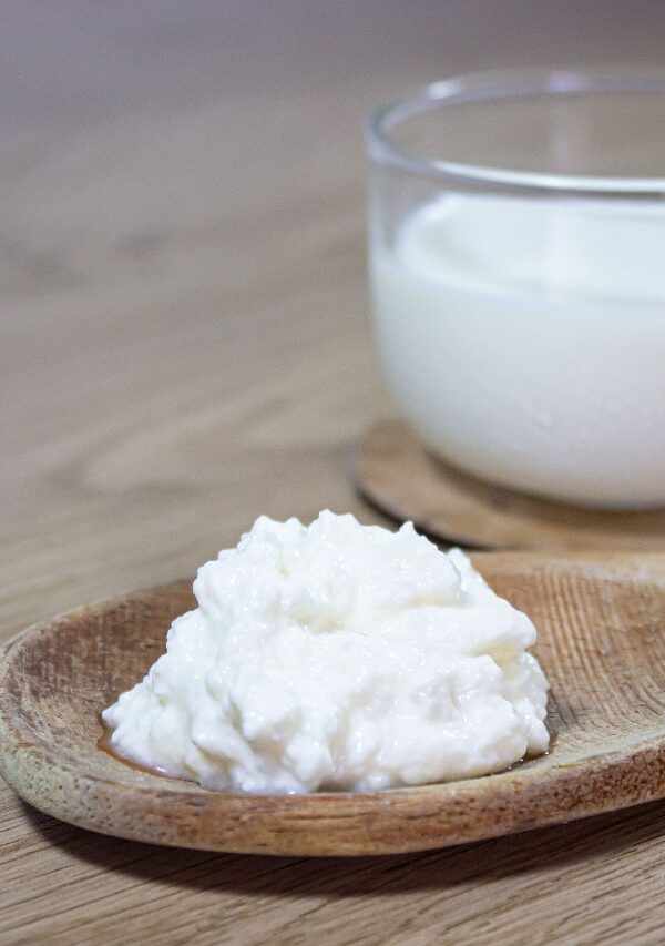 kefir de leche medellín kefir de leche medellín