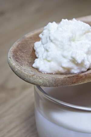 kéfir de leche kéfir medellín