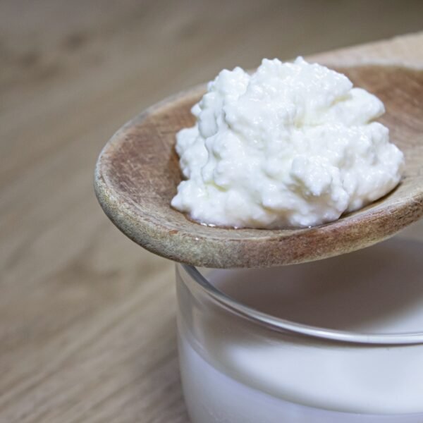 kéfir de leche kéfir medellín