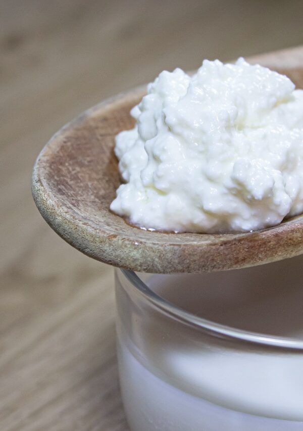 kéfir de leche kéfir medellín kéfir de leche kéfir medellín