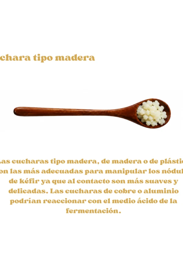Cuchara-tipo-madera kit-de-fermentación-x3 - nódulos de kefir de leche - nodulos de kefir de agua - cuidado de nódulos - probióticos - fermentación - probióticos - cultivos vivos