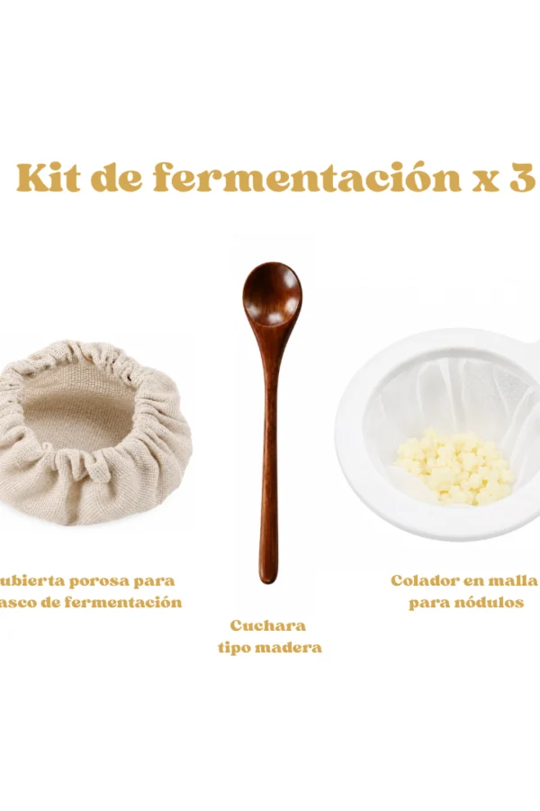 kit-de-fermentación-x3-_1_