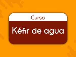 Curso Kéfir de agua