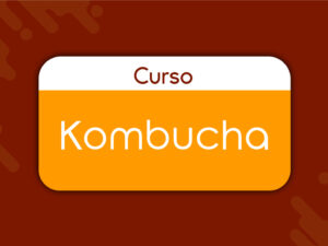 Curso Kombucha