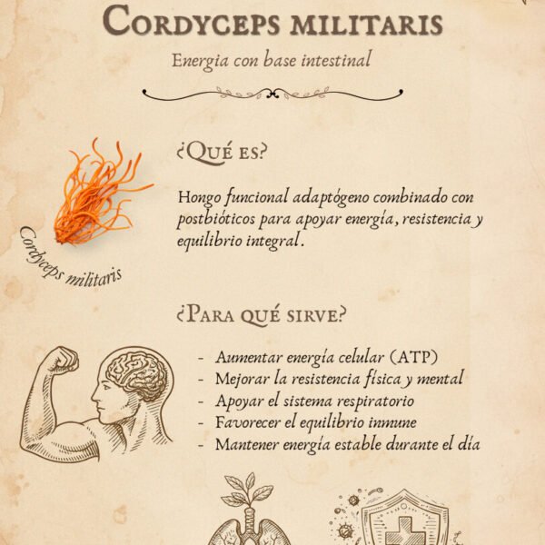 Cordiceps militaris