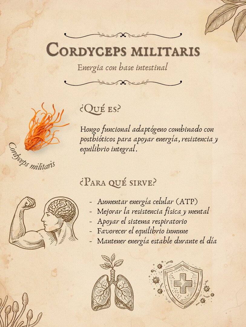 Cordiceps militaris