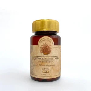 Frasco frontal de Cordyceps militaris con postbióticos Muscaria Lab, suplemento para energía y rendimiento