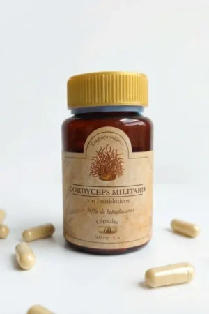 Cordyceps cápsulas (1) Cordyceps cápsulas (1)
