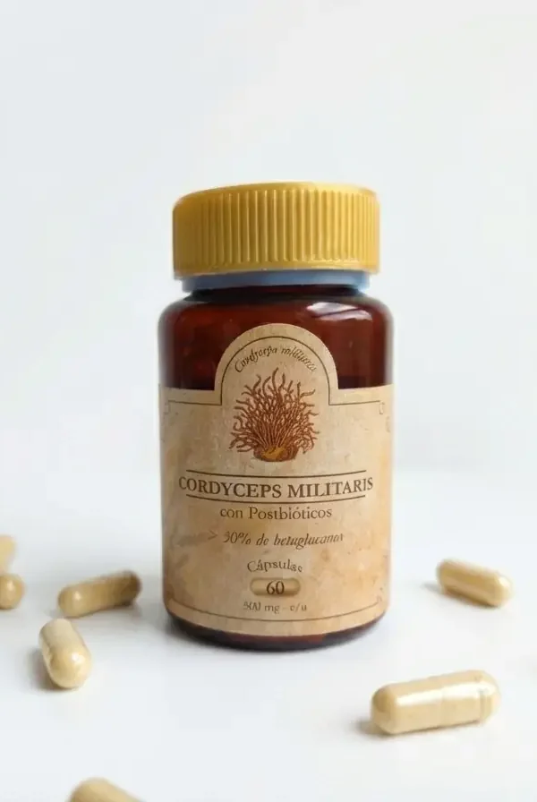 Cordyceps cápsulas (1) Cordyceps cápsulas (1)