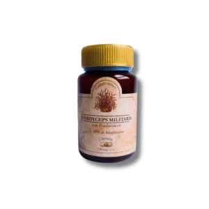 Suplemento de cordyceps con postbióticos para energía y resistencia física