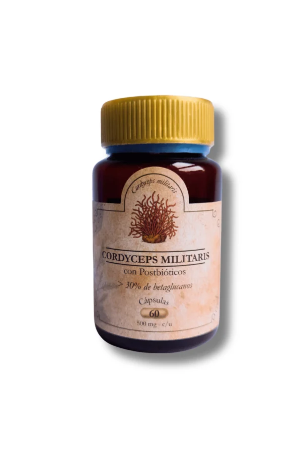 Suplemento de cordyceps con postbióticos para energía y resistencia física