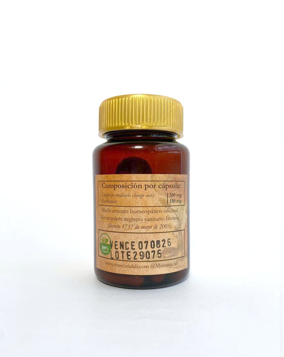 Etiqueta con ingredientes y tabla nutricional de Cordyceps militaris con postbióticos Muscaria Lab