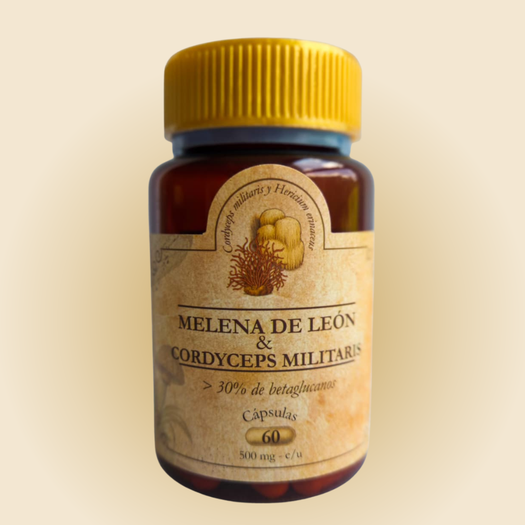 Melena de León & Cordyceps Militaris con Postbióticos