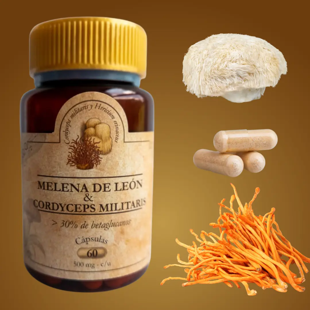 Melena de León & Cordyceps Militaris con Postbióticos - Imagen 3