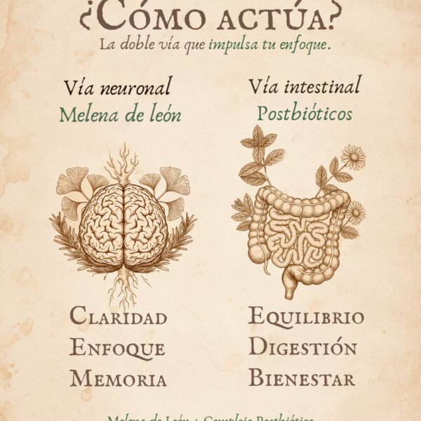 Melena de leon como actua