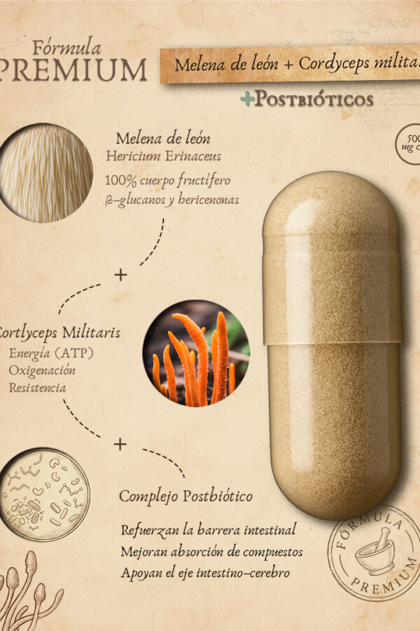 Melena y cordyceps formula premium Melena y cordyceps formula premium